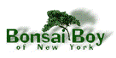 Cashback Portal for Bonsai Boy