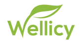 Cashback Portal for Wellicy