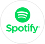 Spotify Premium Subscription